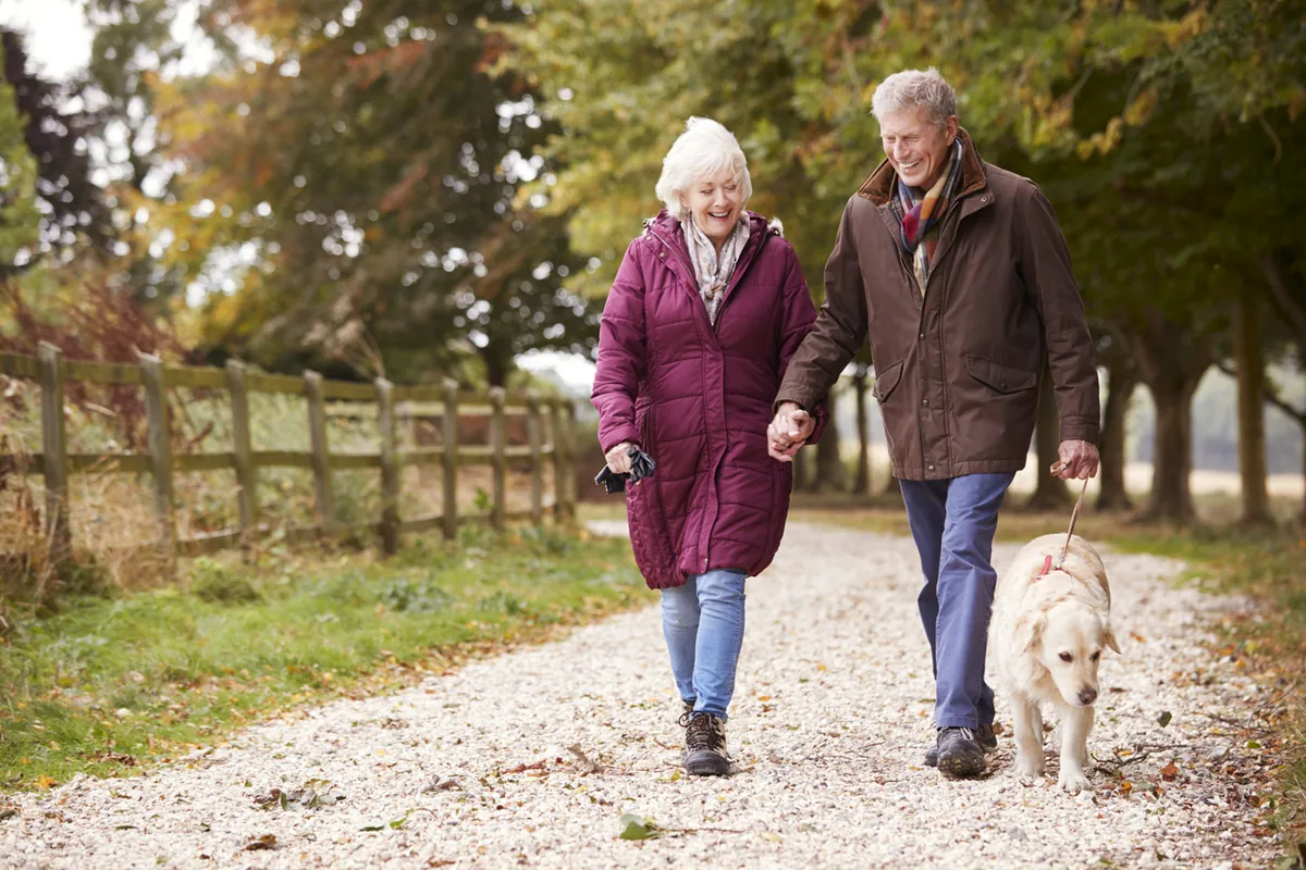 An older couple walking their dog along an autumn country path